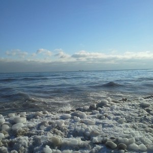 1507650_615192298545863_1030658876_n